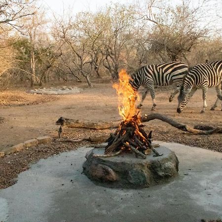 Hello Kruger Hideaway Cottage & Skilpad Studio Marloth Park Exterior photo