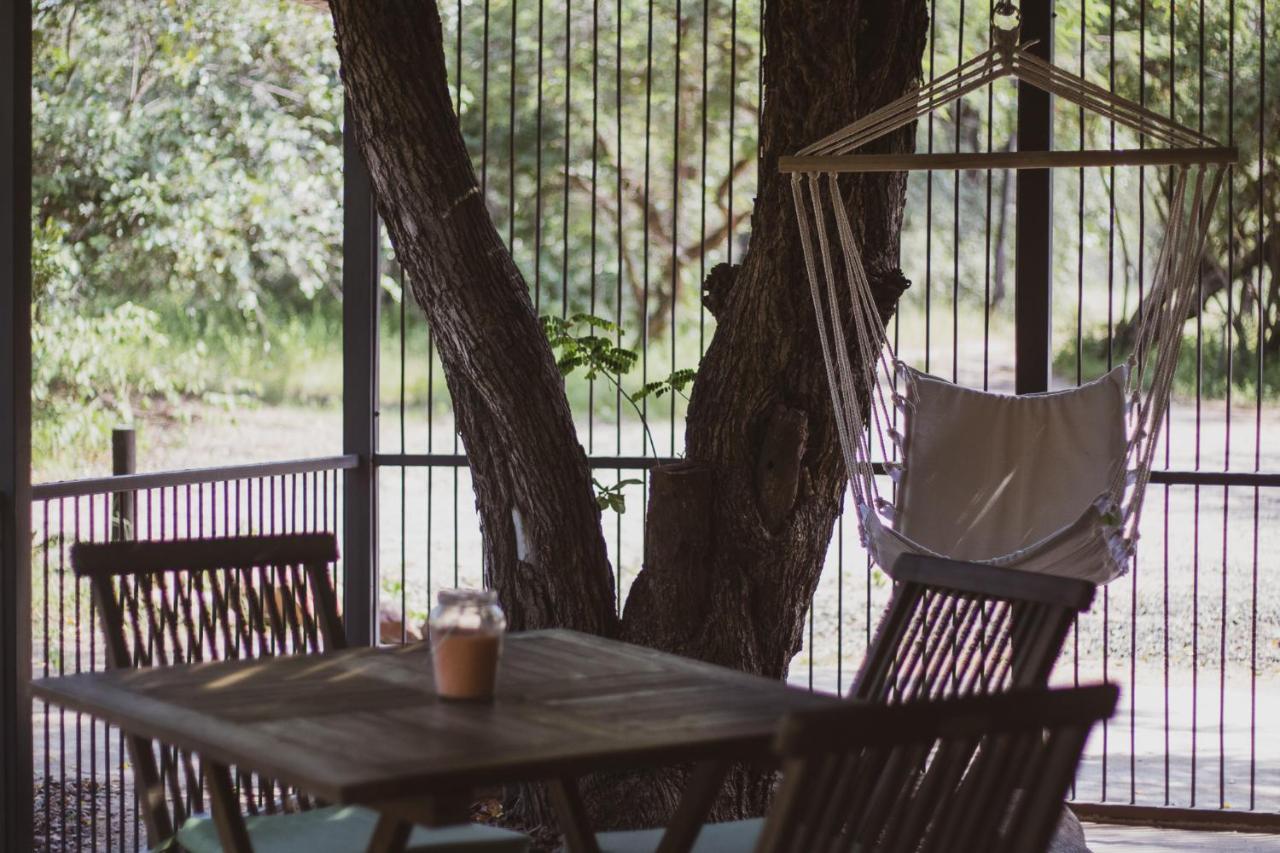 Hello Kruger Hideaway Cottage & Skilpad Studio Marloth Park Exterior photo