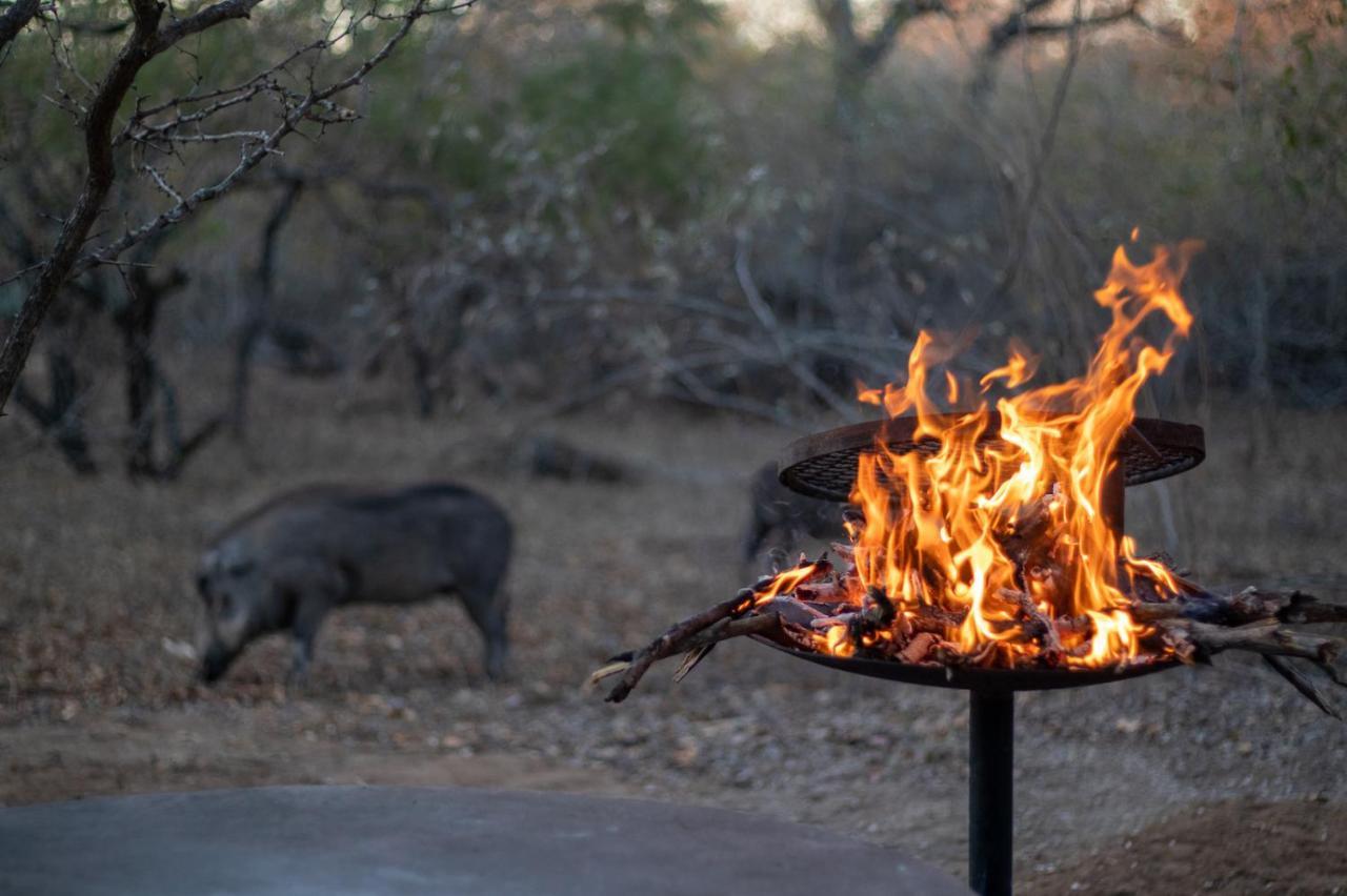 Hello Kruger Hideaway Cottage & Skilpad Studio Marloth Park Exterior photo