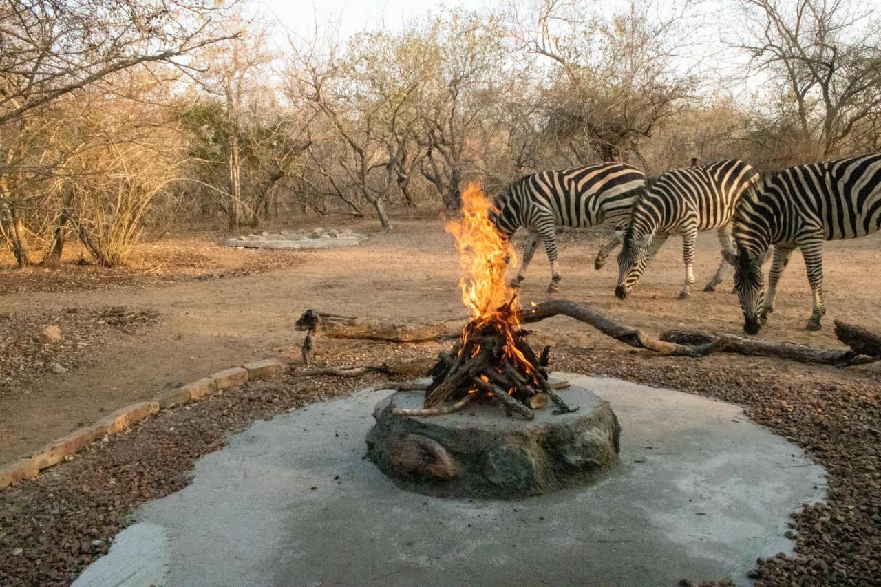 Hello Kruger Hideaway Cottage & Skilpad Studio Marloth Park Exterior photo