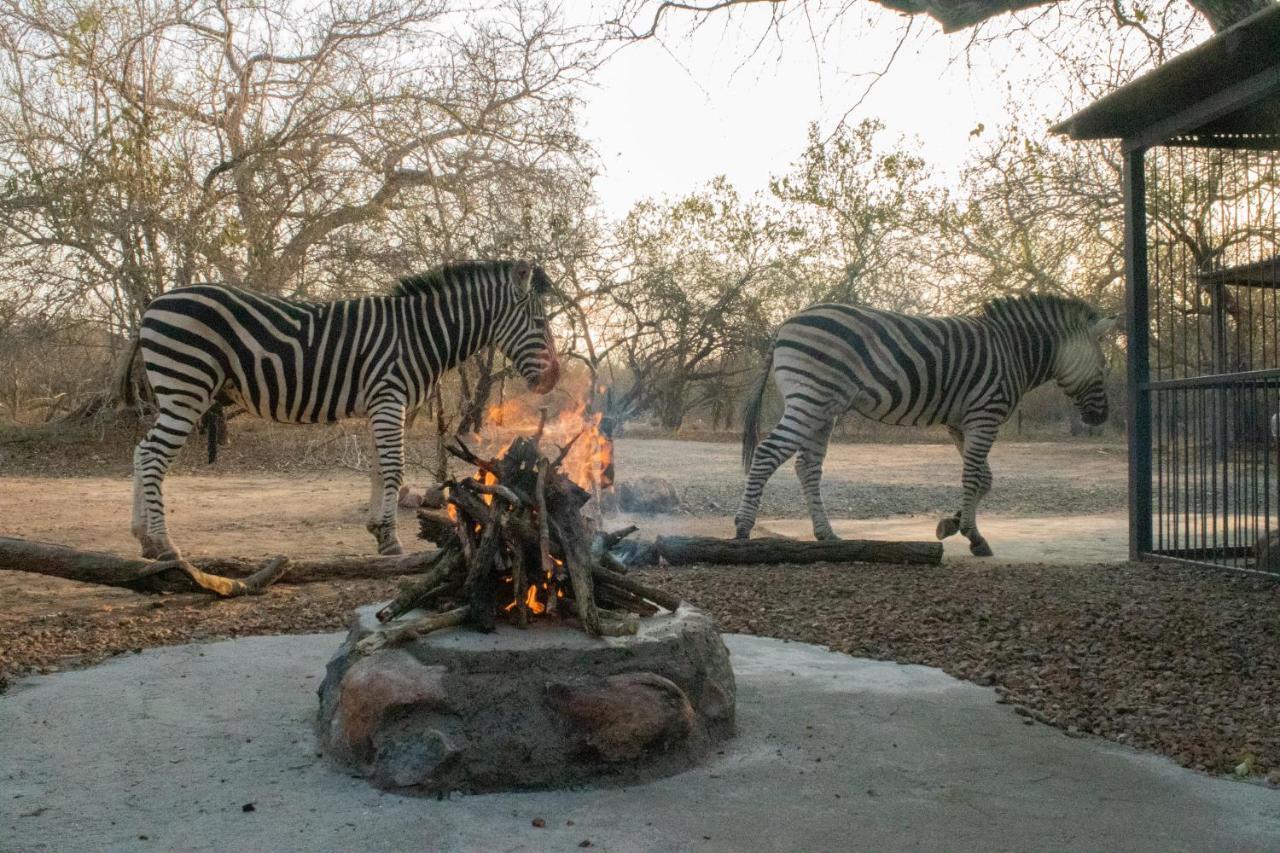 Hello Kruger Hideaway Cottage & Skilpad Studio Marloth Park Exterior photo