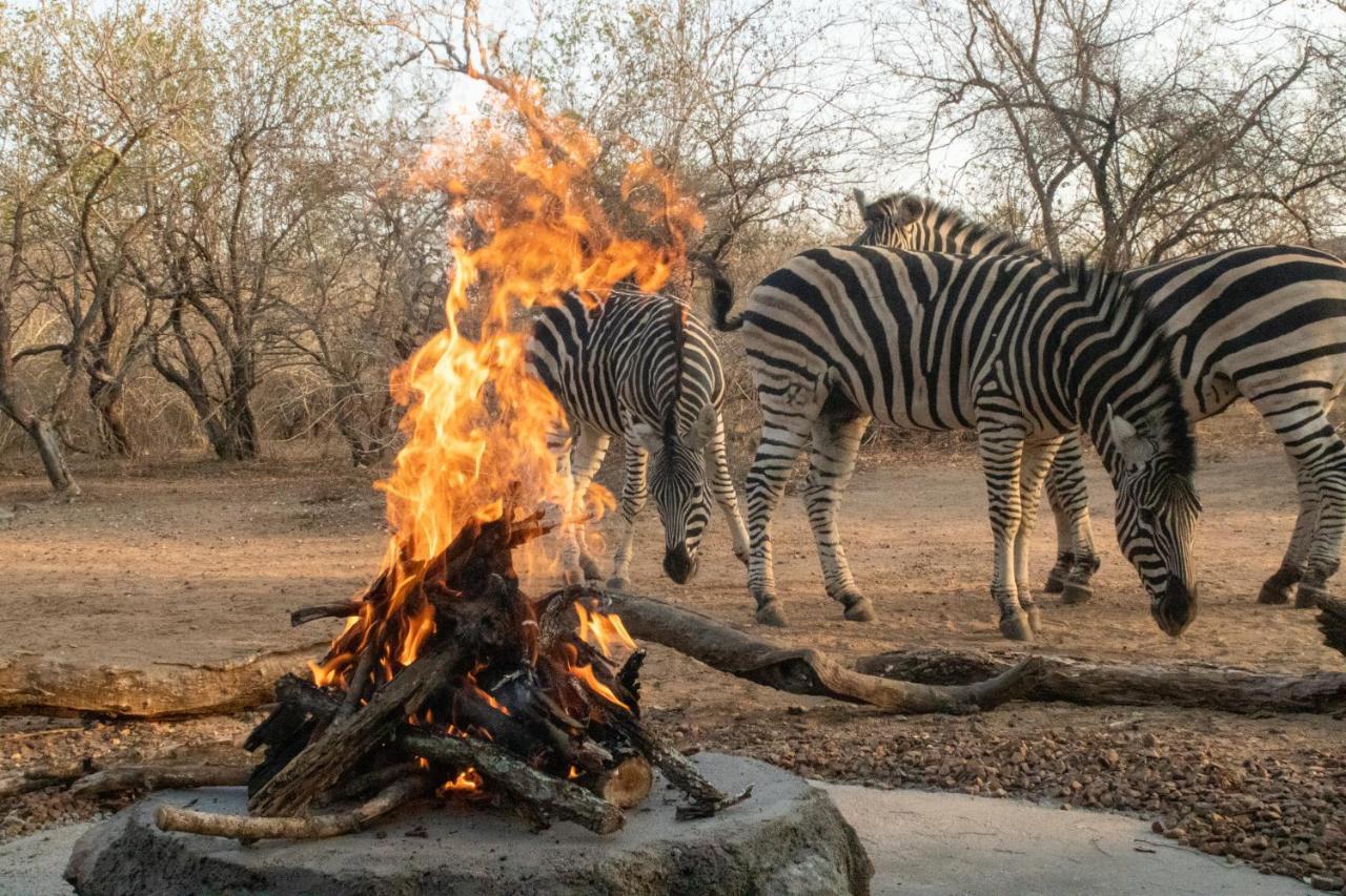 Hello Kruger Hideaway Cottage & Skilpad Studio Marloth Park Exterior photo